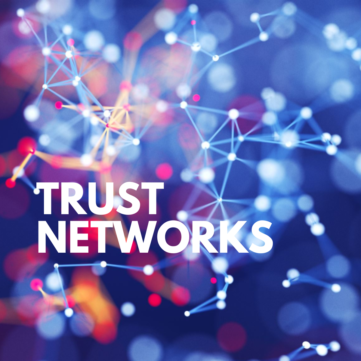 TRUST NETWORKS